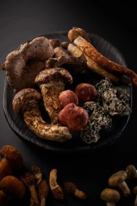 A celebration of wild mushrooms on Cantonese table with Nanyang flair 